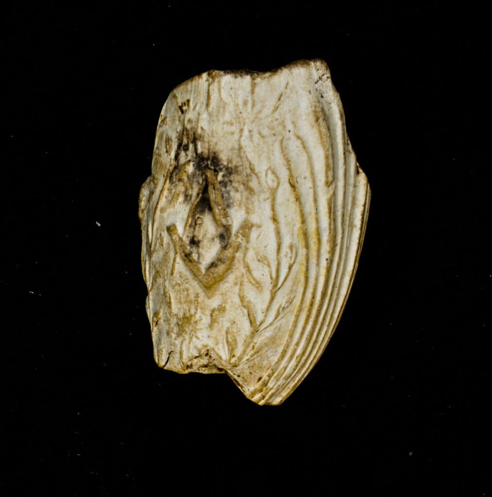 A worn, carved seashell with intricate patterns against a black background.