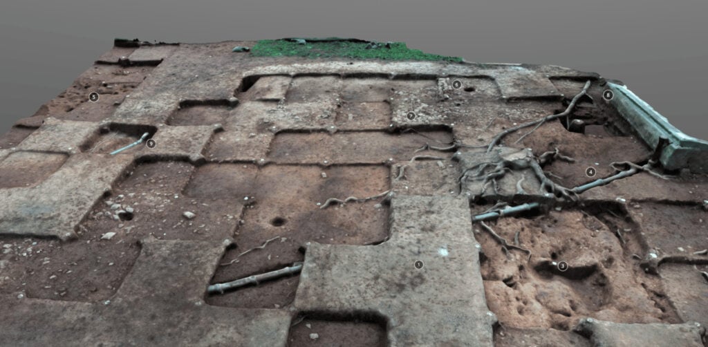 Aerial view of an archaeological excavation site with grid patterns and several unearthed roots and artifacts visible in the soil.