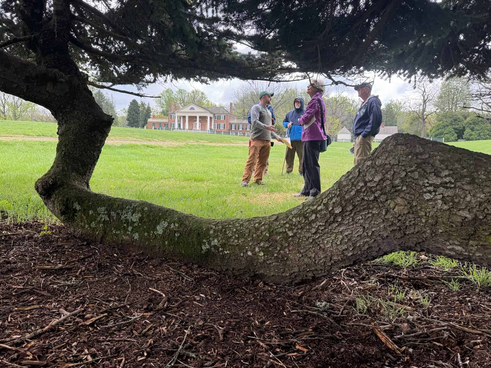 A group of people stand and talk on a grassy lawn near a large tree branch, with a historic-style house visible in the background.