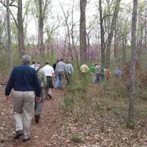 A group of people walks along a dirt trail through a wooded area with trees and early spring foliage.