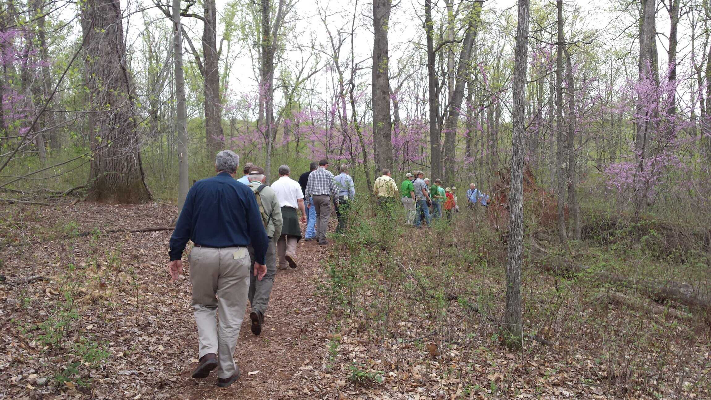 A group of people walks along a dirt trail through a wooded area with trees and early spring foliage.