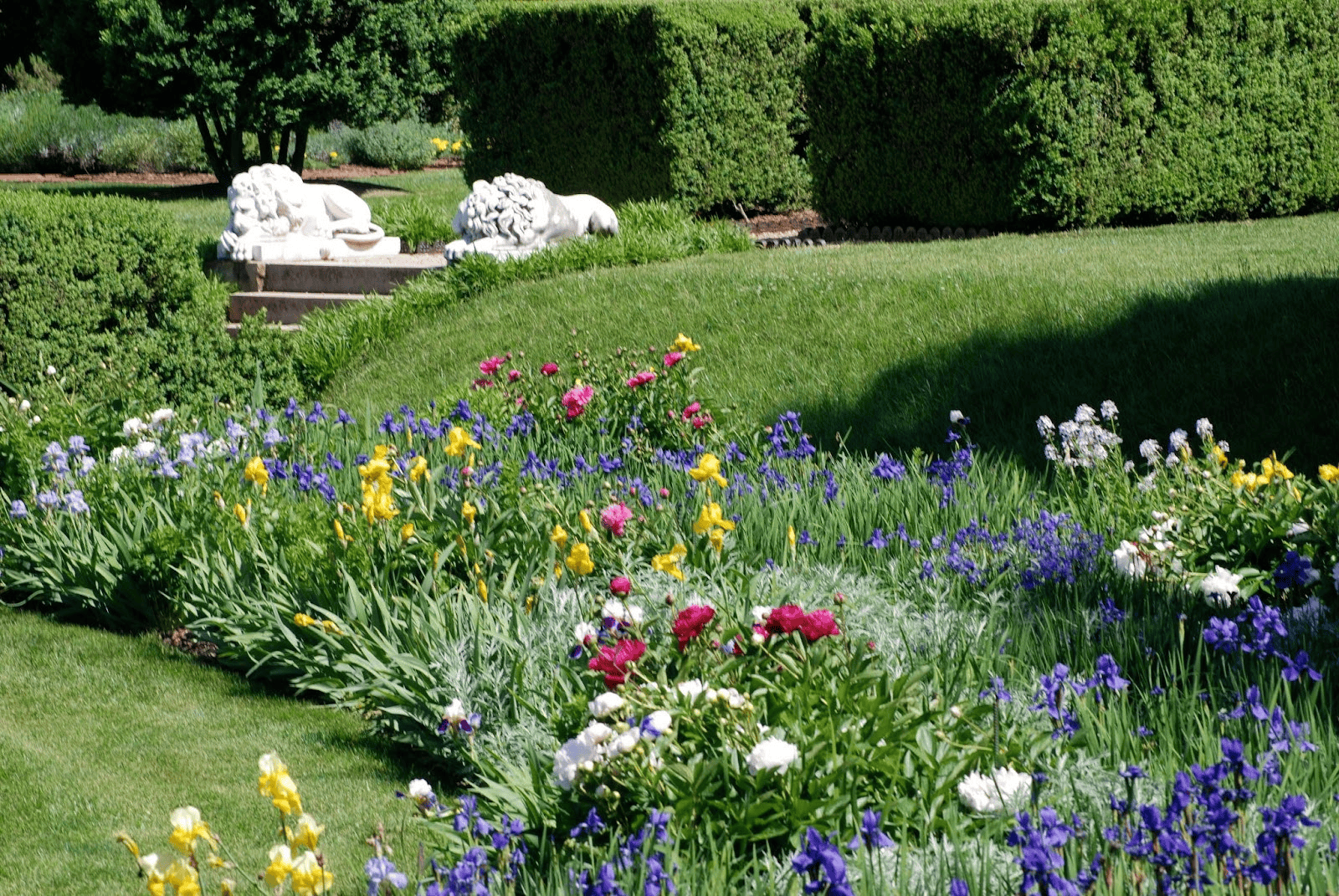 Top 3 Things to Do This Spring in Central Virginia’s Piedmont - Montpelier