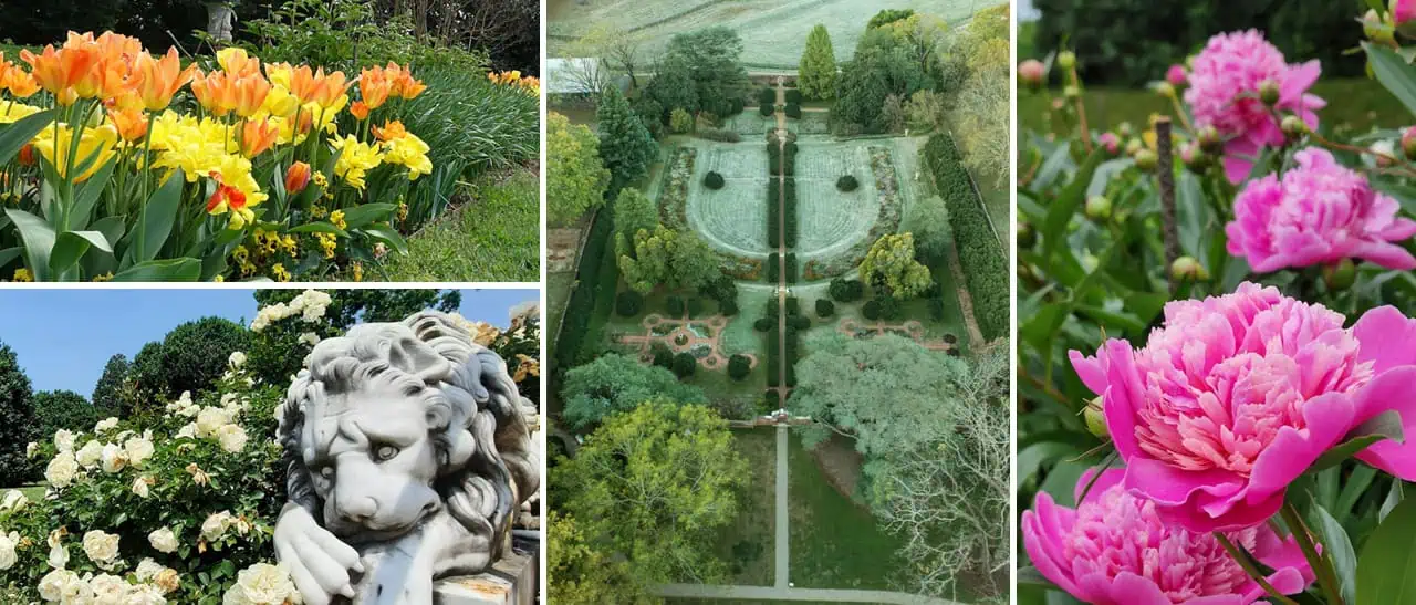 Collage of vibrant garden scenes: yellow and orange tulips, an aerial view of a formal garden, blooming peonies, and a stone lion sculpture amid white roses.