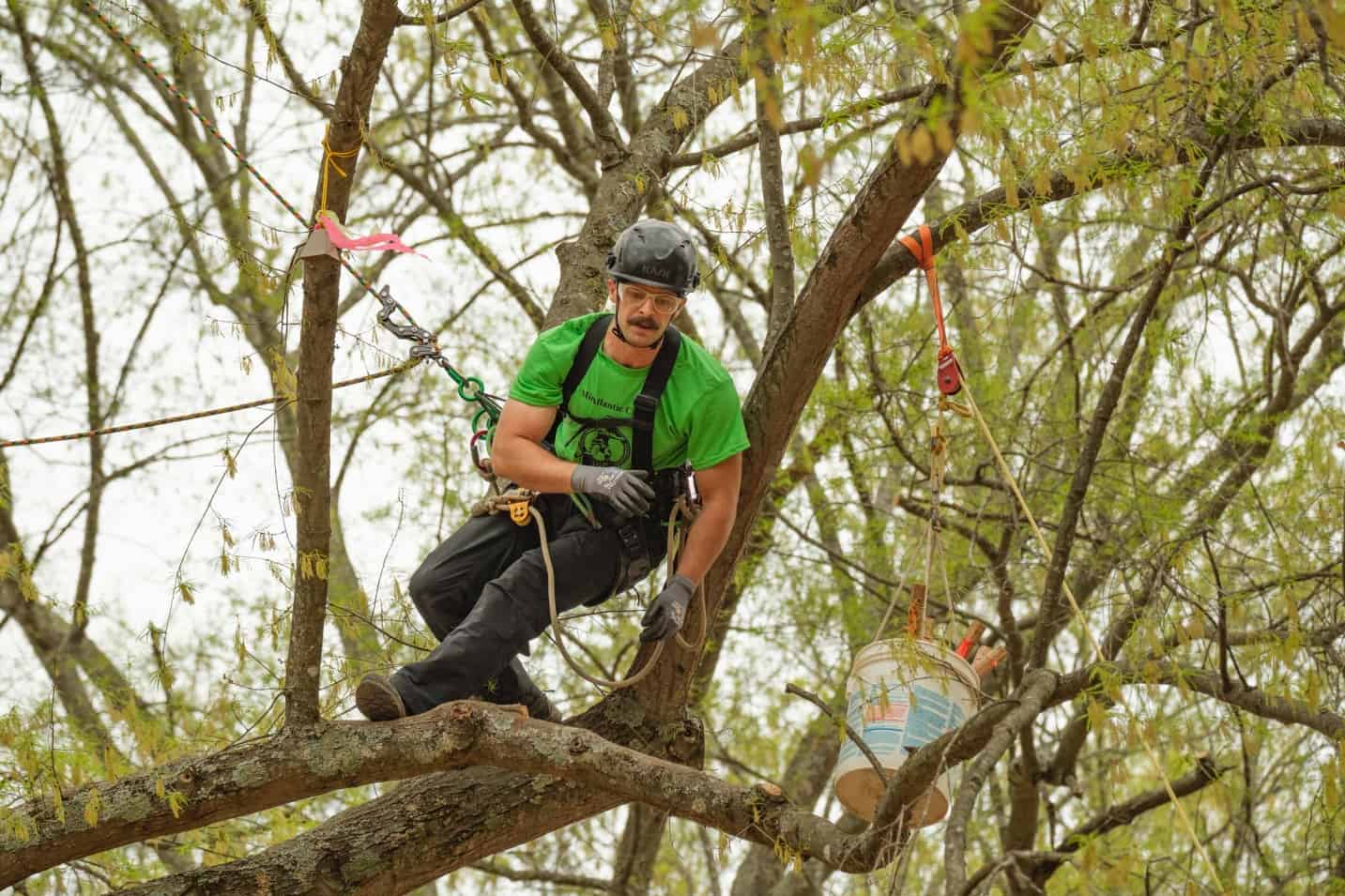A man wearing safety gear and a helmet is harnessed to a tree branch, working with ropes and a bucket hanging nearby.